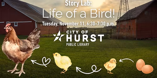 Story Lab: Life of a Bird! 