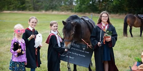 Midlands Exmoor Pony Show 2026
