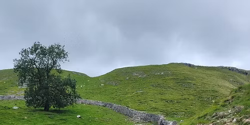moorland walk- families