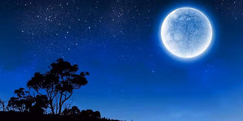 Blue Moon Sound Bath with Michelle Bulda