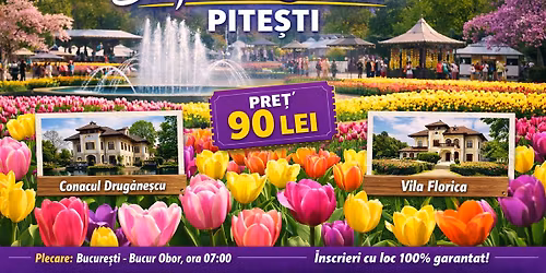 Miercuri Trips Simfonia lalelelor din Pite\u0219ti -90 lei