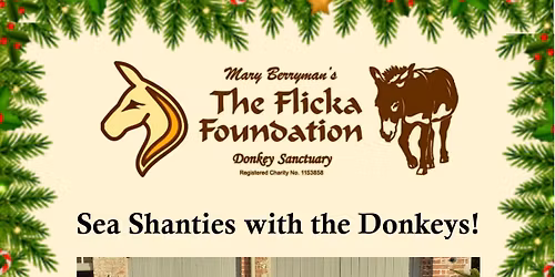 Sea Shanties with the Donkeys!