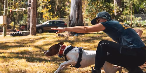 Scurry Dog 'Confidence with Distance' Half-Day Workshop