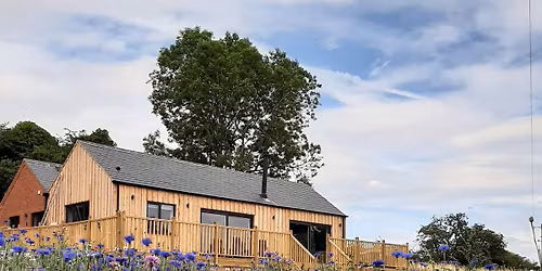 Donna Nook Seal pups