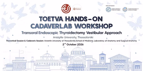 TOETVA HANDS-ON CADAVERLAB WORKSHOP