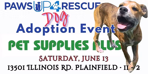 Dog Adoption Event in Plainfield, IL