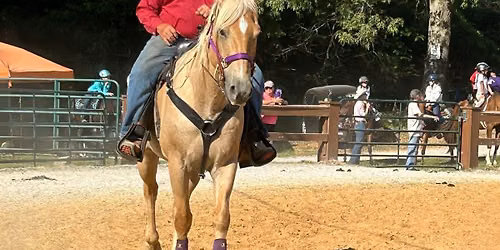 Riverdale saddle club horse show