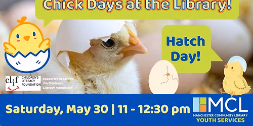 Chick Days at MCL: Hatch Day!
