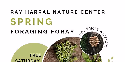 Spring Foraging Foray