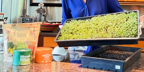 Sprouting for Health with Wendy Cheatham Newman