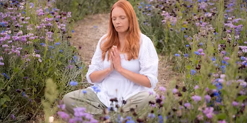 Half-Day Meditation Retreat at Wellness Woodlands, Bridgnorth