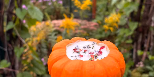 Pumpkin Candle Making \u2728