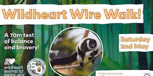 Wildheart Wire Walk!