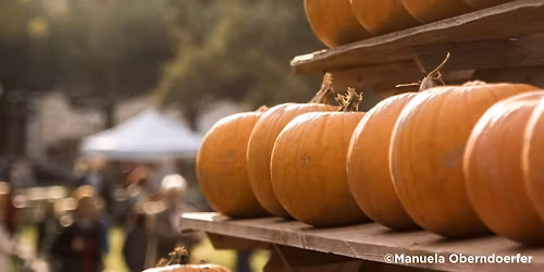 Wiesbadener Stadtfest, Erntedankfest und Herbstmarkt 2026