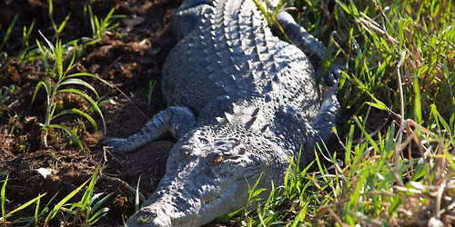 Top End Safari 2026 - 17 June-11 July