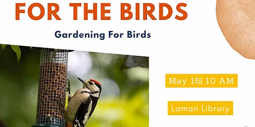 For The Birds: Gardening For Birds