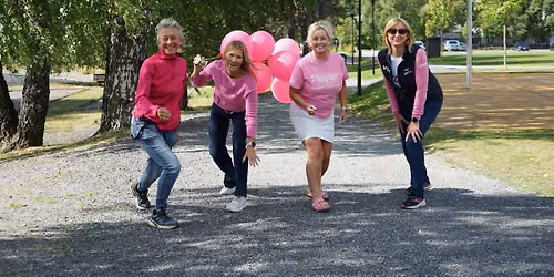 Rosa Sl\u00f8yfe-l\u00f8p Fagernes Ildsjel