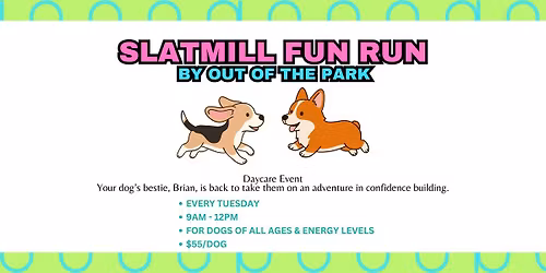 Doggy Slatmill Fun Run
