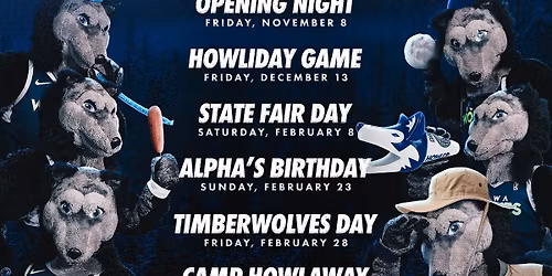 Iowa Wolves at Valley Suns at Mullett Arena