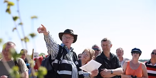 A Wildflower Year Guided Walk - Friday 23 January