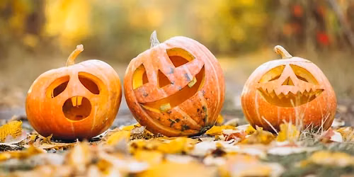 Give your pumpkins an afterlife...as compost!
