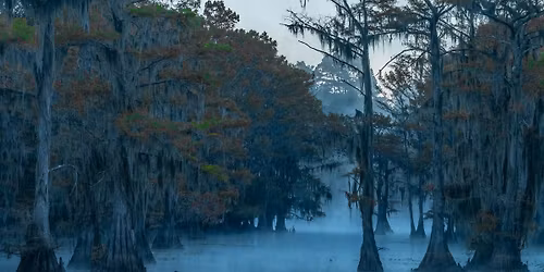 Caddo Lake Winter Experience