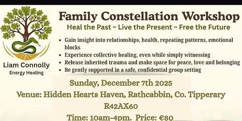Family Constellations Workshop 