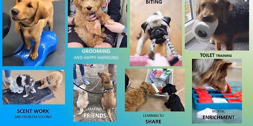 PUPPY PRE-SCHOOL