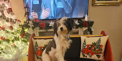Santa Paws photo shoot for the whole family!