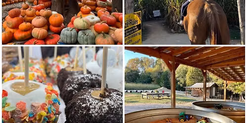 Fall on the Farm \ud83c\udf83 Corn Maze & Pumpkin Patch