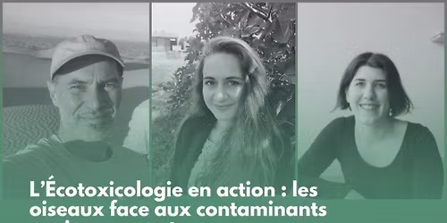 Classes des ma\u00eetres; L'\u00e9cotoxicologie en action: les oiseaux face aux contaminants environnementaux 