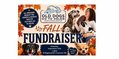Old Dogs Go To Helen Fall Fundraiser 