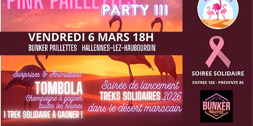 \ud83e\udda9 PINK PAILLETTES PARTY III \ud83e\udda9 LES FLAMANDES ROSES \ud83e\udda9