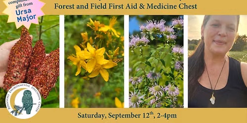 Botany and the Body series: Forest and Field First Aid & Medicine Chest