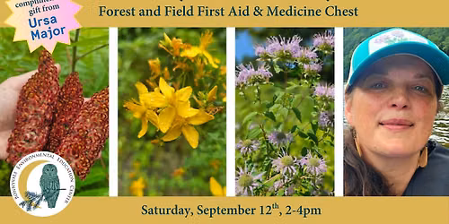 Botany and the Body series: Forest and Field First Aid & Medicine Chest