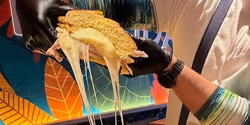 Atr\u00e9vete con el Sandwich\u00f3n Cubano XXL