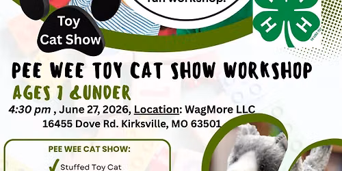 Pee Wee Toy Cat Showmanship Workshop