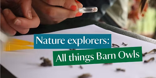 Barn Owl talks at Coleton Fishacre