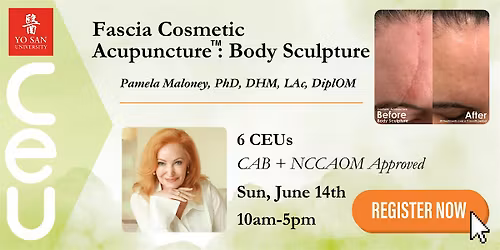 Fascia Cosmetic Acupuncture\u2122: Body Sculpture