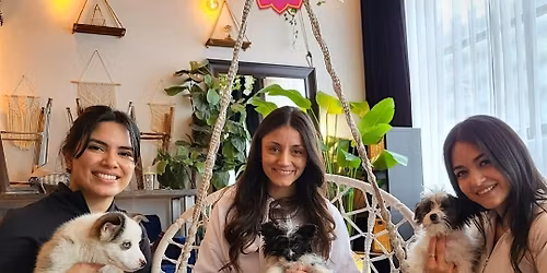 Puppy Yoga at the Vineyard + Non-Alcoholic Wine TastingKick Off Summer