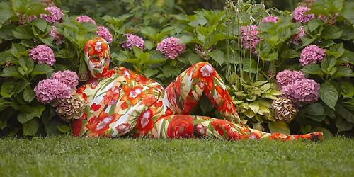 Public Opening: Summer Exhibitions