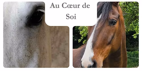 Stage \u00ab Au Coeur des Chevaux-Au Coeur de Soi \u00bb