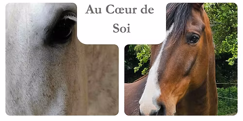 Stage \u00ab Au Coeur des Chevaux-Au Coeur de Soi \u00bb