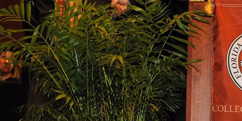 Spring 2026 Master's Hooding Ceremony