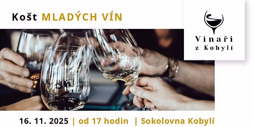 Ko\u0161t MLAD\u00ddCH V\u00cdN