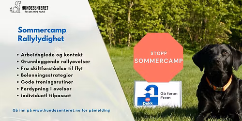 Sommercamp- Rallylydighet (FULLT) 