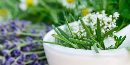 Herbs for Stress & Anxiety