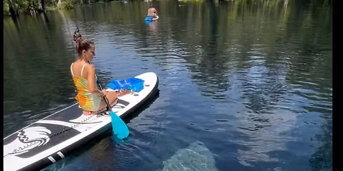 Veterans Day  Manatee Adventure \ud83c\uddfa\ud83c\uddf8