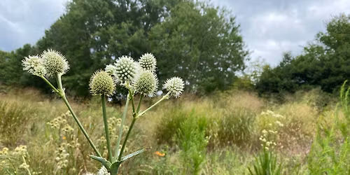Tour of the Prairies, Adventure Trail, and Native Plant Nursery at Daniel Stowe Conservancy