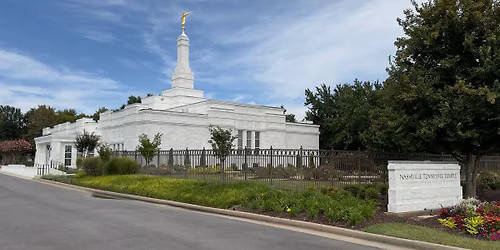 Singles Temple and Dinner